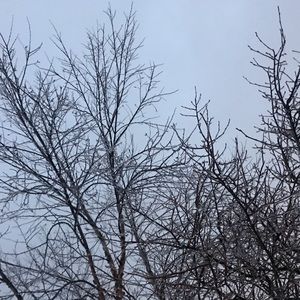 Meet your Posher, Priya